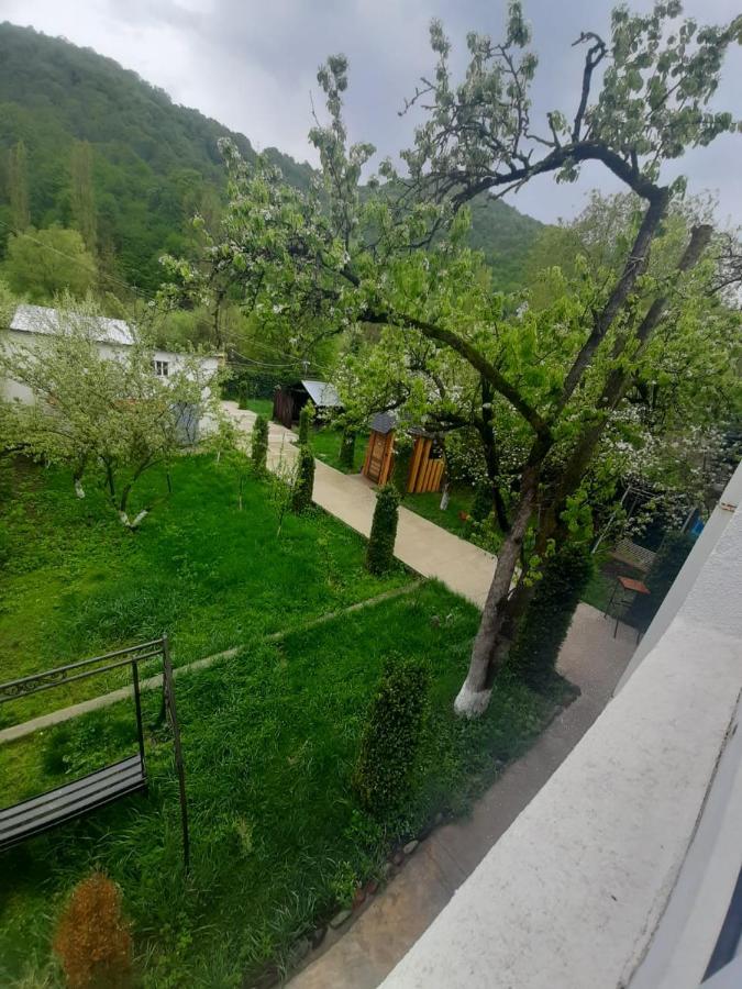 Green Garden B&B Dilijan Exterior photo